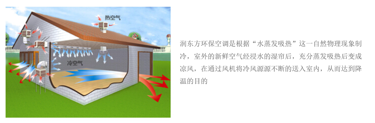 AG真人·国际(中国游)平台官方网站RDF-18B-11/S(图2)